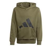 adidas Unisex niños Essentials Big Logo Hoodie, Olive strata/Black, 11-12 Years