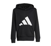 adidas Unisex niños Essentials Big Logo Hoodie Sweatshirt, Black/White, 13-14 Years