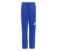 adidas Unisex niños Essentials Big Logo Pants, Team Royal Blue/White, 11-12 Years