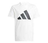 adidas Unisex niños Essentials Big Logo Set Track Suit, white/black, 13-14 Years