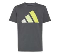 adidas Unisex niños Essentials Big Logo Shirt, Grey Six/Orbit Grey/Frozen Lemon/Solar Lemon, 7-8 Years