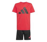 adidas Unisex niños ESSENTIALS BIG LOGO T-SHIRT SET, pure ruby/black, 13-14 Years
