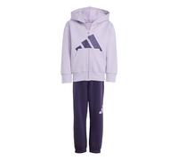 adidas Unisex niños ESSENTIALS BIG LOGO TRACKSUIT, powder plum/aurora plum, 7-8 Years