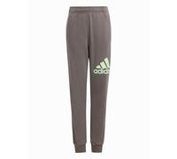 adidas Unisex niños Essentials Regular Fit Big Logo Cotton Pants, Charcoal/Semi Green Spark, 9-10 Years