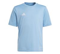adidas Unisex Niños Jersey (Short Sleeve) Camiseta Tabela 23, Team Light Blue/White, IA9155, 152