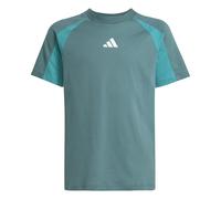 Adidas Unisex niños Seasonal Essentials Colorblock T-Shirt, preloved Teal/Pure Teal/White, 11-12 Years