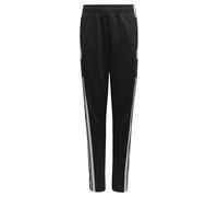 Adidas Unisex niños Squadra 21 Training Pants, Black/White, 13-14 Years
