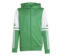 adidas Unisex - Bambini e Ragazzi SQUADRA25 Hoody Kids, Team Green/White, 7-8 Years