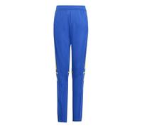 adidas Unisex niños Squadra25 Training Kids Pants, Team Royal Blue/Team Yellow, 11-12 Years