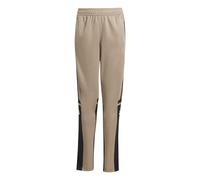 Adidas Unisex niños SQUADRA25 Training Pant Kids, Blanch Cargo/Black/Warm Vanilla, 11-12 Years