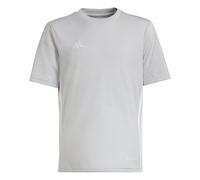 adidas Unisex niños Tabela 23 Jersey Youth Shirt, Team Light Grey/White, 9-10 Years