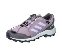 adidas Unisex niños Terrex GORE-TEX Hiking Shoes, preloved fig/silver dawn/green spark, 37 1/3 EU