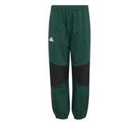 adidas Unisex niños Terrex Kids Multi 2 Layer Climaproof Rain Pants, Collegiate Green, 11-12 Years