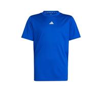 adidas Unisex - Bambini e Ragazzi Train Essentials Logo Regular Fit T-Shirt Junior, Royal Blue/White, 11-12 Years