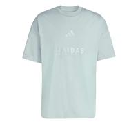 adidas Uomo All SZN Embroidered Graphics T-Shirt, Wonder Sage, XL