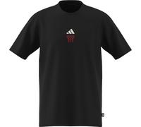 adidas Uomo ANX Hoop Graphic T-Shirt, Black, XXL