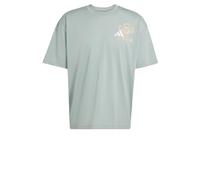 adidas Uomo Climacool Fun Training Graphic T-Shirt, Wonder Sage, L