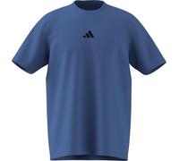 adidas Uomo Climacool Training Identity Graphic T-Shirt, Ray Blue, 4XL