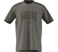adidas Uomo Collegiate T-Shirt, Silver Pebble/Olive strata, XXL