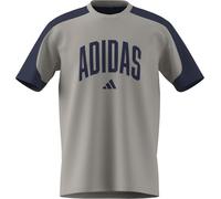 adidas Uomo Collegiate T-Shirt, Wonder Alumina/Dark Blue, XS