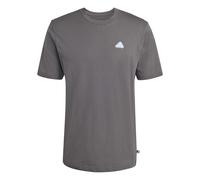 adidas Uomo Color Icon Graphic T-Shirt, Grey Five, XXL