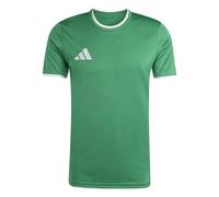 adidas Uomo Entrada26 Jersey, Team Green/White, L