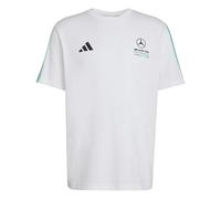 adidas Uomo Mercedes - AMG Petronas Formula 1 Team DNA tee, White/Semi Mint Rush, S