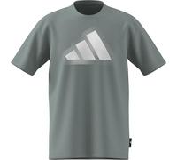 adidas Uomo Modern Essentials Graphic T-Shirt, Wonder Sage, 3XL