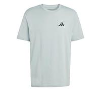 adidas Uomo Outdoor Mountain Biking Graphic T-Shirt, Wonder Sage, 3XL