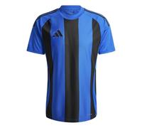adidas Uomo Striped 24 Jersey, Team Royal Blue/Black, XXL