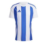 adidas Uomo Striped 24 Jersey, White/Team Royal Blue, M