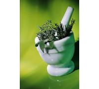 Adiós Ansiedad: Aromaterapia aplicada a eliminar momentos de ansiedad; con cuaderno de trabajo.