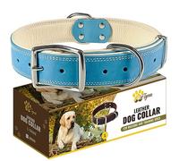 ADITYNA Collar de cuero acolchado para perro - Collares para perro niño - Collares de perro azul para perros grandes
