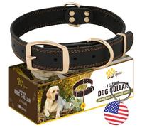 ADITYNA - Collar de cuero resistente para perros grandes - Collar de perro de cuero suave y fuerte para caminar y entrenar (negro - hebilla de color dorado, grande: se ajusta a cuello de 17 a 23