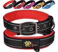 ADITYNA Collar de Perro Acolchado de Neopreno Suave Ultra cómodo para Perros pequeños (Negro, pequeño: Cuello de 12 a 16 Pulgadas)