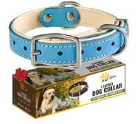 ADITYNA - Collar de perro de cuero de alta calidad resistente para perros pequeños - Acolchado con cuero genuino suave para una sensación acogedora