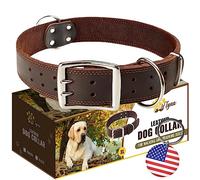 ADITYNA Collar Grande de Cuero para Perro, Collar de Perro XXL para Razas Gigantes como mastín (Gigante: se Ajusta a Cuello de 30 a 36 Pulgadas, marrón)
