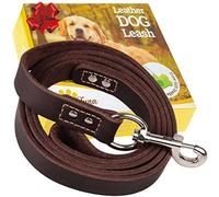ADITYNA Correa de Piel para Perro de 6 pies - Correa de Piel para Perros Grandes, medianos y pequeños - Correa de Piel para Caminar y Entrenar - Correa de Piel Resistente para Perro (marrón)
