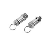 Adjustable 304 Stainless Steel Safety Pressure Relief Valve 1/4 1/2" BSPT NPT Male 0.5-10 Bar for Air Compressor Cooker Homebrew(BSPT_6 BAR FIXED)