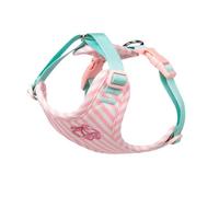 Adjustable Arnais-Chaleco para perro con correa - Antifuga y lindo para perros de tamaño pequeño y mediano (Pink, XS)
