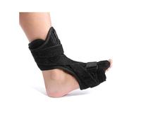Adjustable Compressed Phytase Back-day-night Rail Foot-falling Support And Back