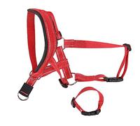 Adjustable Dog Muzzle Headcollar | Breathable Bite - Deterrent Chew - Deterrent Oral Protector for Walking/Training | Nylon Bark - Reduction Muzzle Cover with Padded Strap (L 47x38x27cm /
