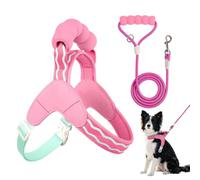 Adjustable Mesh Dog Chest Harness & Leash Set - No-Pull Outdoor Pet Carrier | Breathable Mesh Fabric, -Free Padded Control Handle, Heavy-Duty Metal D-Rings & No-Slip Straps for Small to Medium Dogs