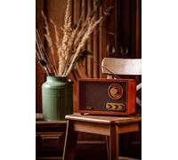 Adler ad 1171 radio portátil marrón