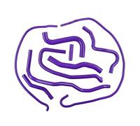 Admisión Tubo Kit De 9 Mangueras De Refrigerante De Silicona Para Ford Para Fiesta Mk6 ST 150 Facelift 2.0 Duratec ST 2006 2007 2008(Violeta)