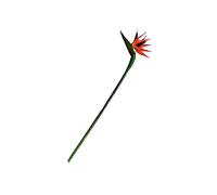 ADOCARN 1Pc Bird of Paradise Flower Flower Flowers Suculentas Panda Gypsophila Hydregeas Plantas Falsas Marigolas Flora Artificial Decorativa Plástico Naranja