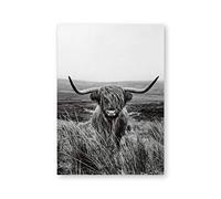 AdoDecor Cuadros decorativos, Animal de granja de vacas de las tierras altas Póster Cuadros decoracion salon modernos, Cuadro Vaca Escocesa Blanco Negro Cuadros decoracion dormitorios(Sin marco)
