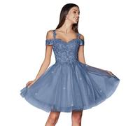 Adolescente A Line de Tul Corto Vestidos de Regreso a casa Espagueti Correa Glitter Encaje Applique Vestidos de Fiesta Dusty Blue XS