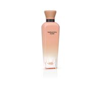Adolfo Dominguez Terracotta Musk 120 ml