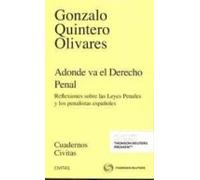 Adonde Va El Derecho Penal